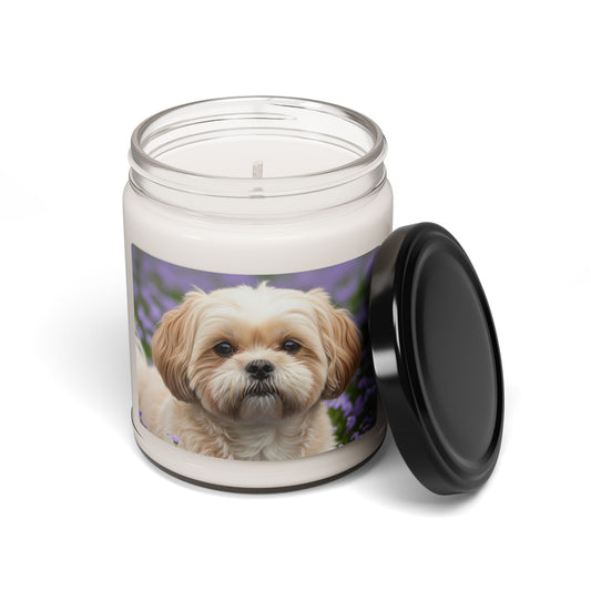 Shih-poo- Scented Soy Candle, 9oz