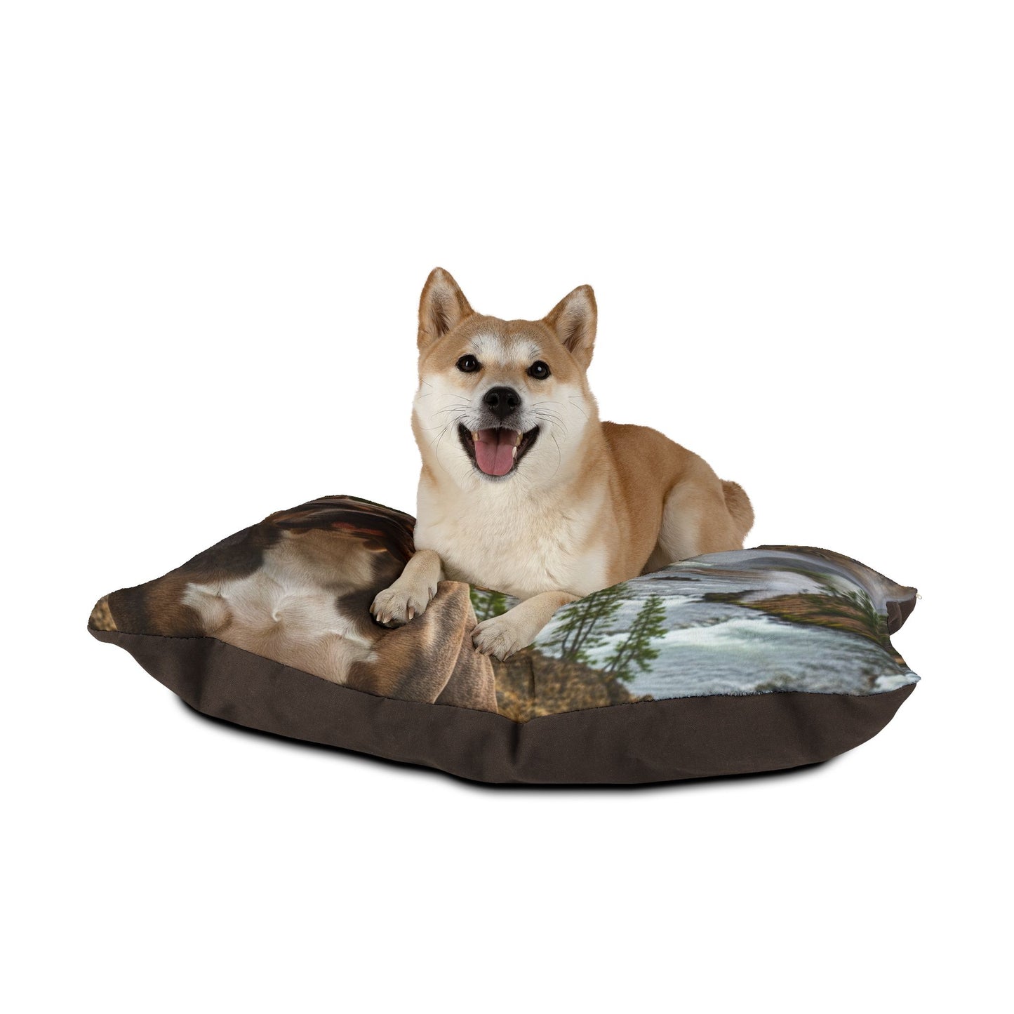 American Bully Pet Bed