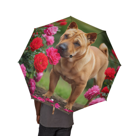 Ori Pei Semi-Automatic Foldable Umbrella