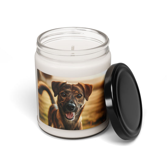 Mountain Cur- Scented Soy Candle, 9oz