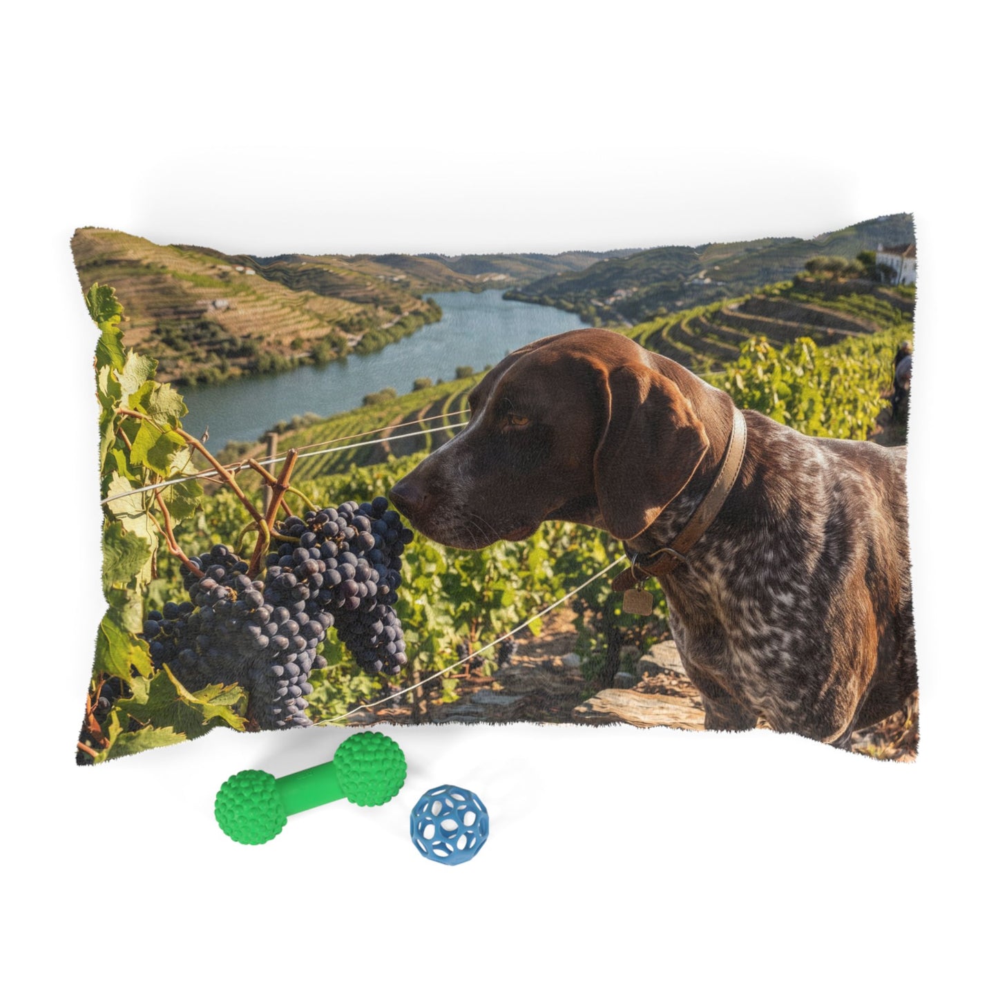 Portuguese Pointing Dog Pet Bed