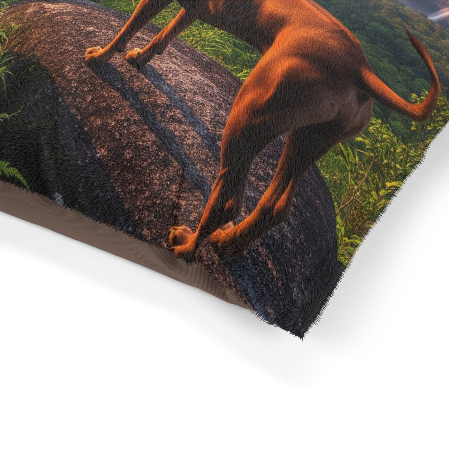 Thai Ridgeback Dog Bed