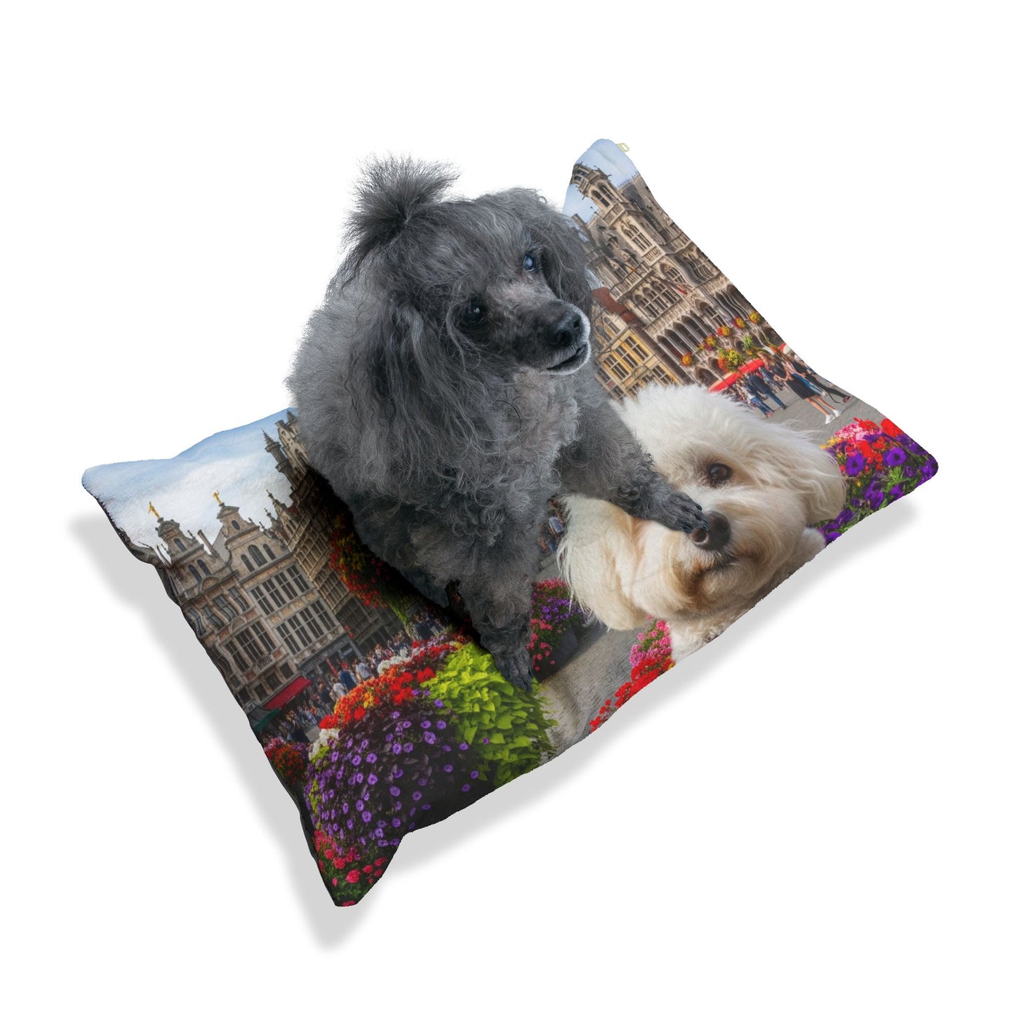 Bichon Frise Pet Bed