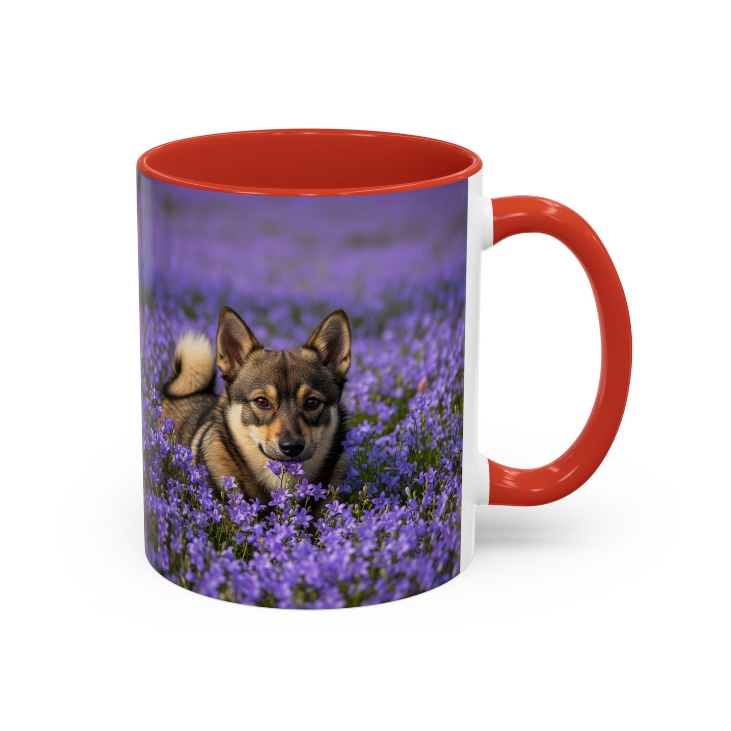 Swedish Vallhund Accent Coffee Mug - Perfect Gift for Dog Lovers
