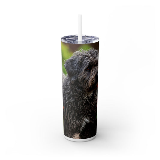 Puli Skinny Tumbler with Straw, 20oz