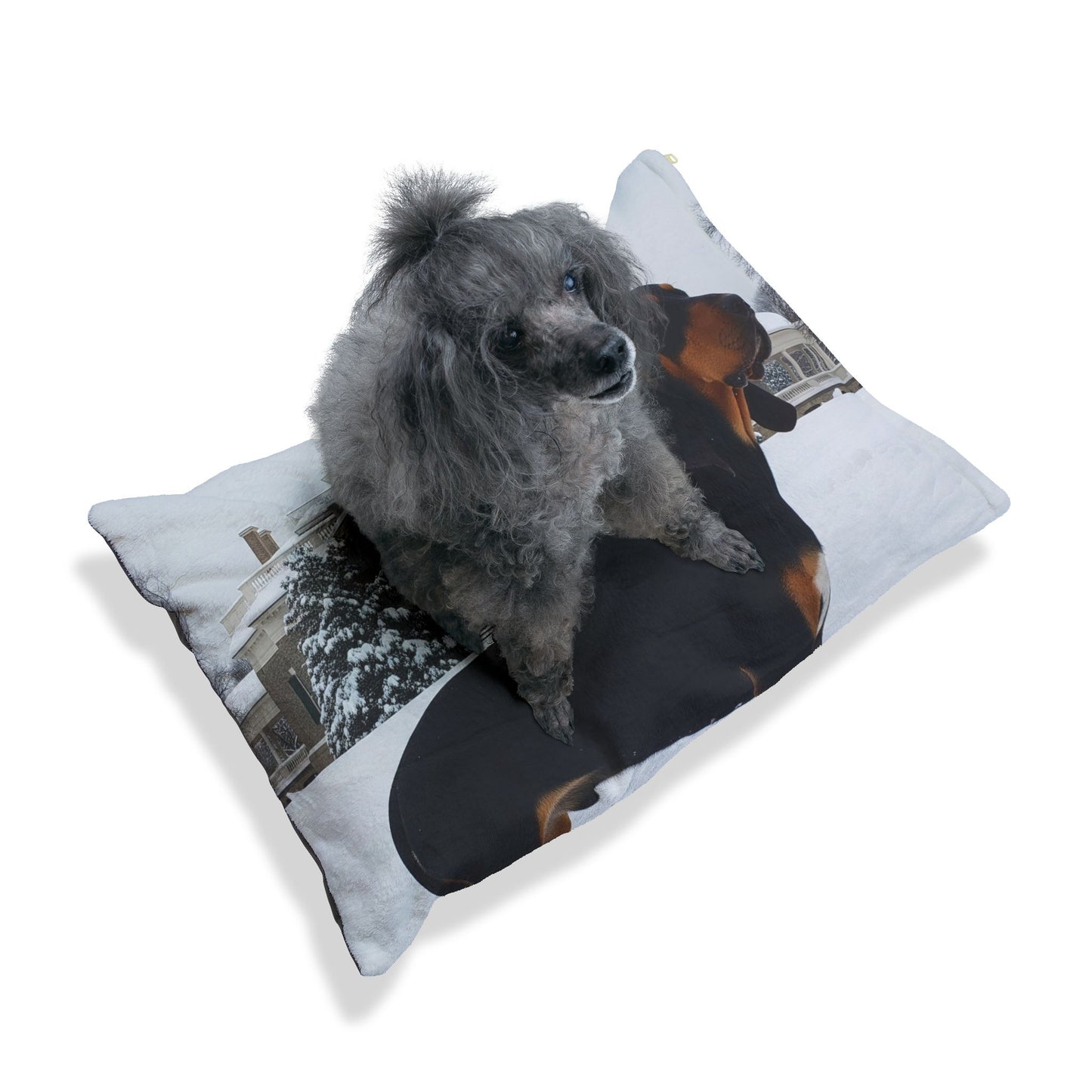 Black and Tan Hound Pet Bed