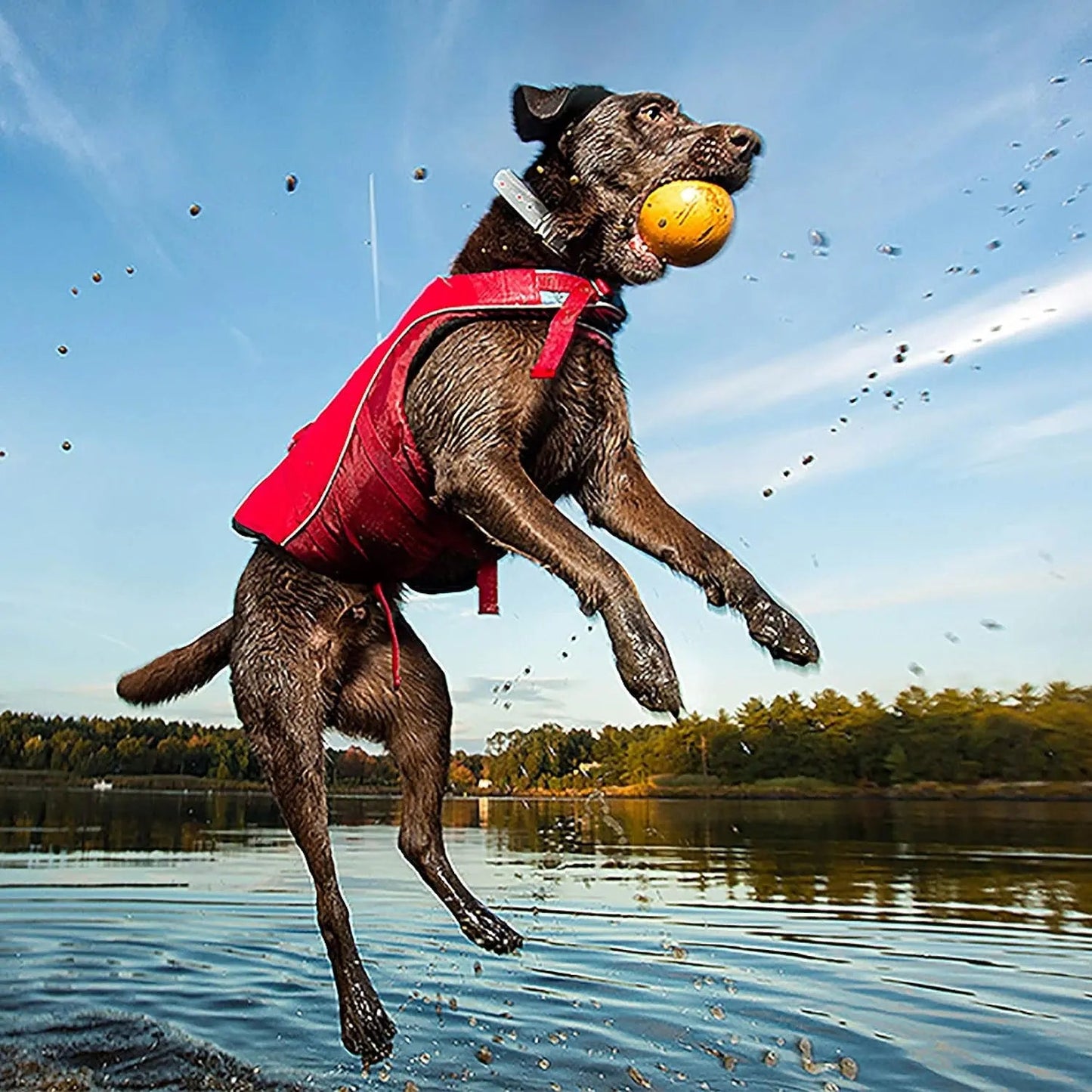 Gilet de sauvetage pour chien Surf N' Turf - Gilet de sauvetage flottant pour la natation et la navigation de plaisance