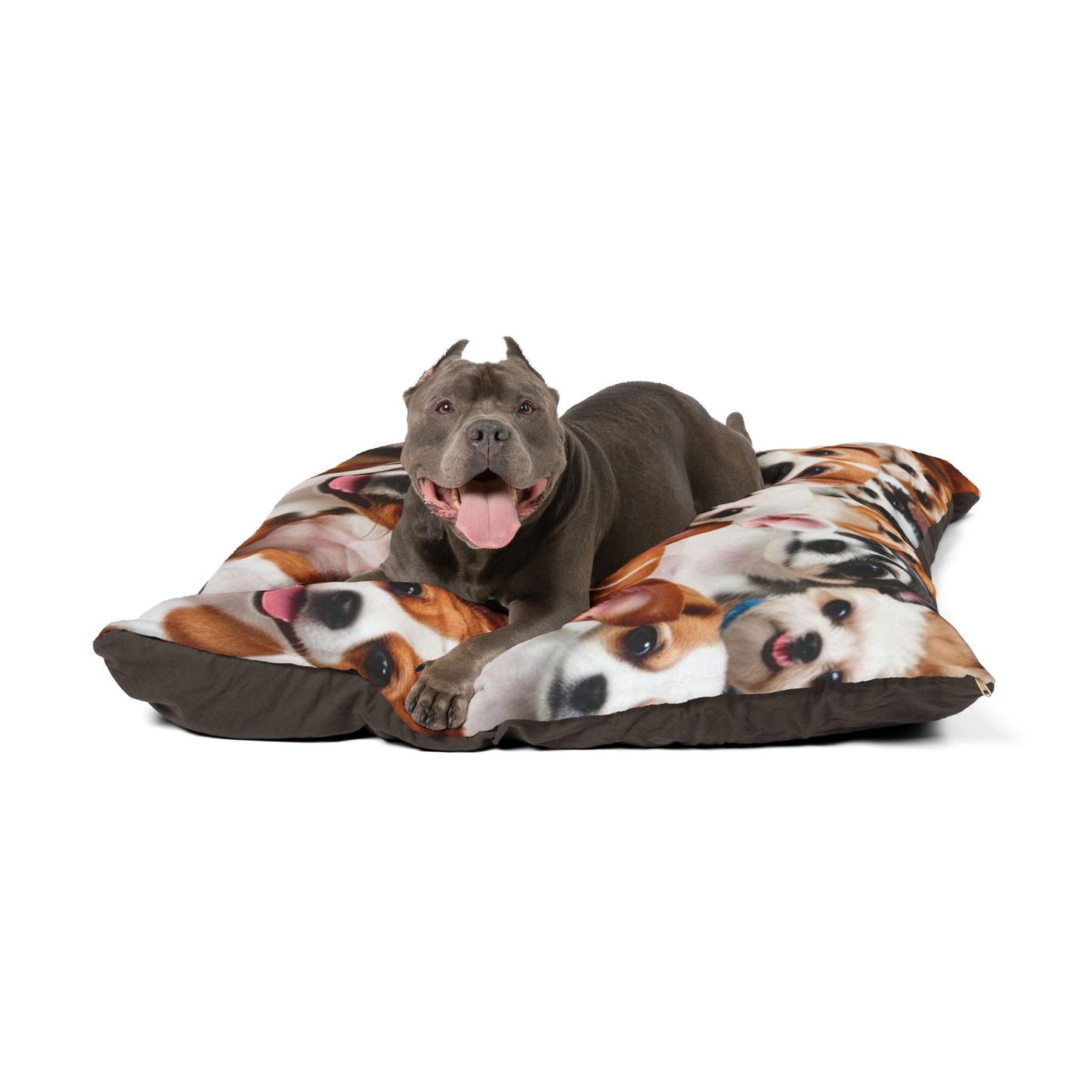 Tiny Dogs Pet Bed