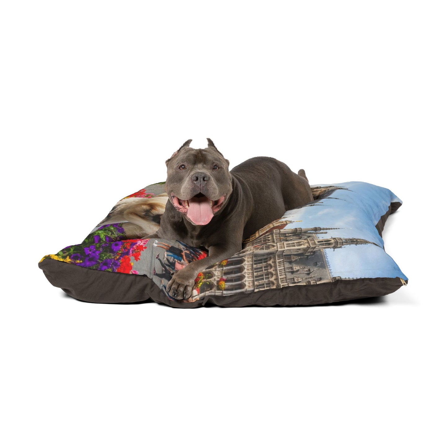 Bichon Frise Pet Bed