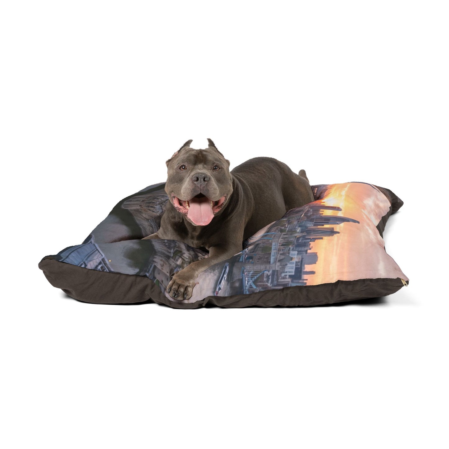 Yorkshire Terrier Pet Bed