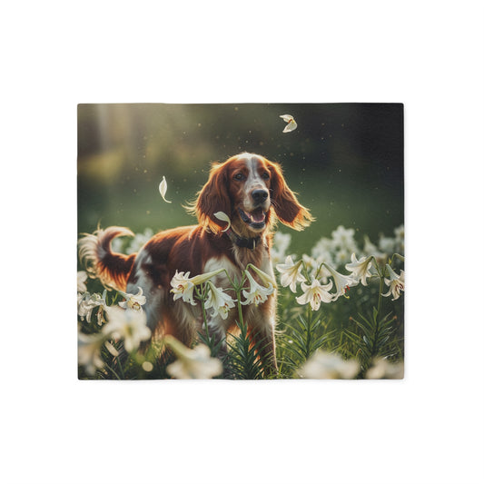 Irish Red and White Setter Sweatshirt Blanket