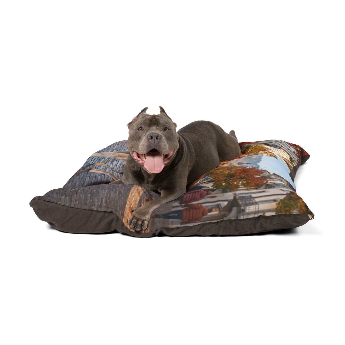 Saint Bernard Pet Bed