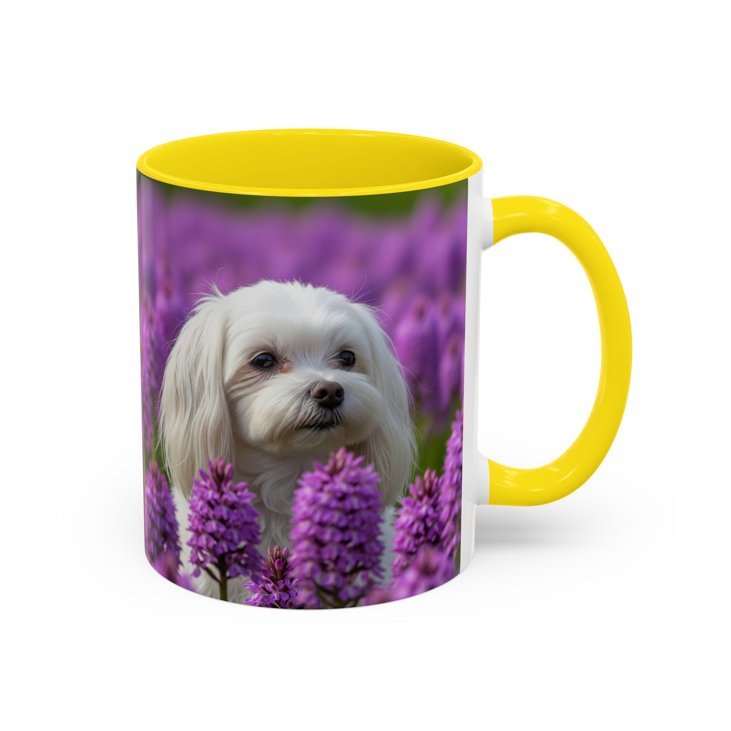 Mug à café à motif maltais - Cadeau idéal pour les amoureux des chiens