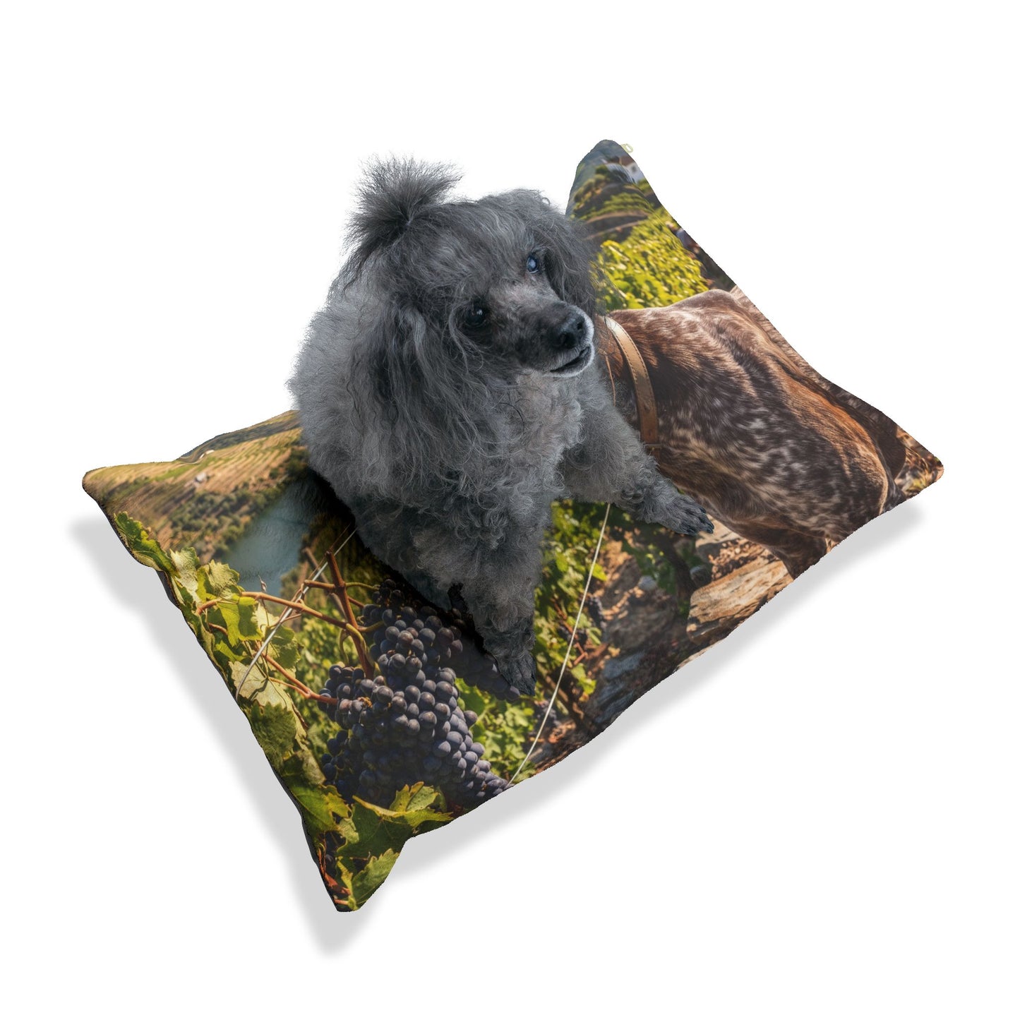 Portuguese Pointing Dog Pet Bed