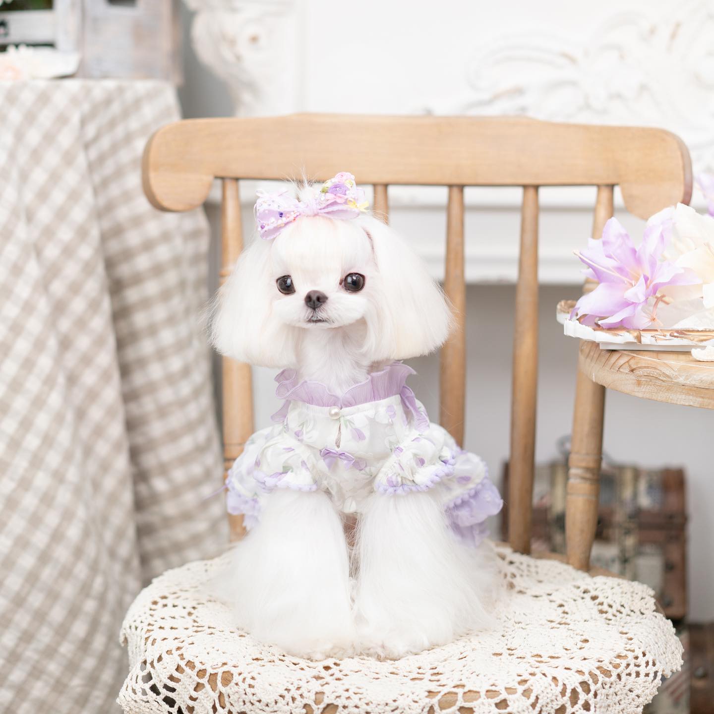 Princess Ruffle Dog Dress | Floral Puppy Party Dress with Pearl Bows