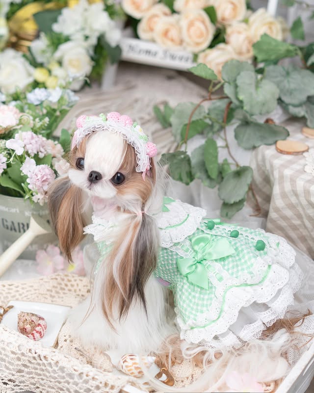 Vintage Gingham Dog Dress | Lace Princess Puppy Dress with Tulle Skirt