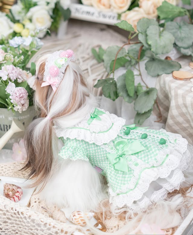 Vintage Gingham Dog Dress | Lace Princess Puppy Dress with Tulle Skirt
