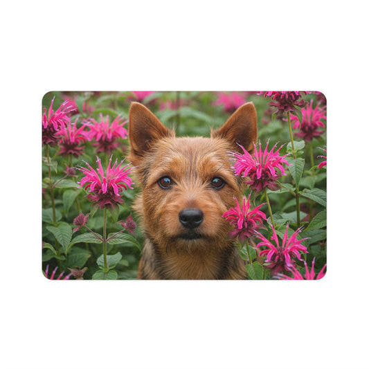 Pet Food Mat (12x18) - Norwich Terrier