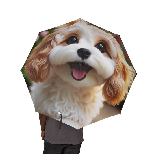 Cavachon Semi-Automatic Foldable Umbrella