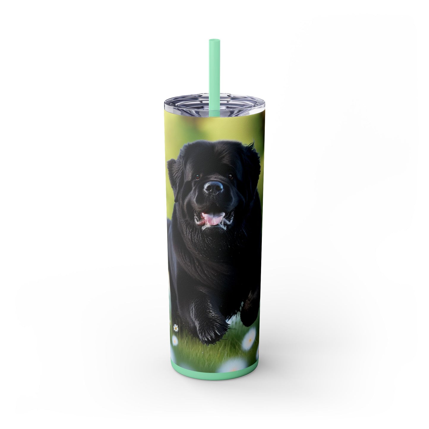 Newfoundland Skinny Tumbler with Straw, 20oz