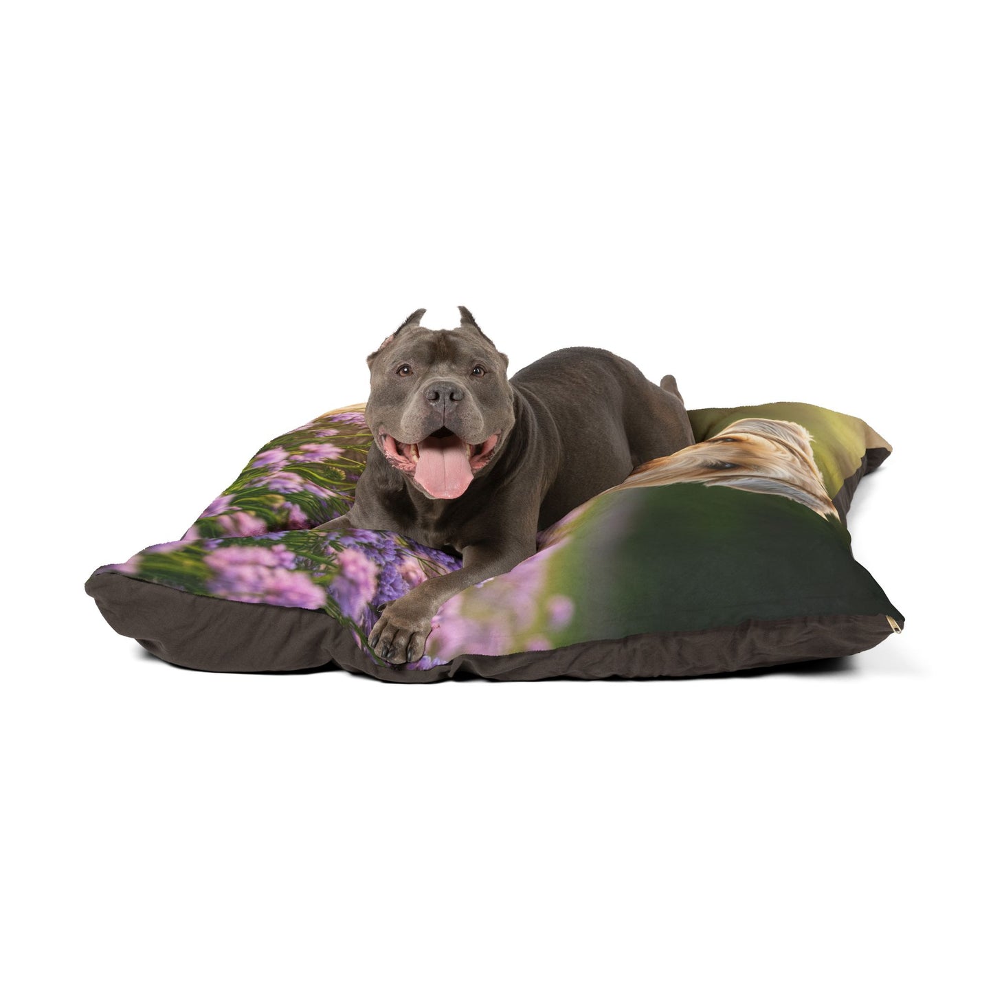 Cama para mascotas Soft Coated Wheaten Terrier