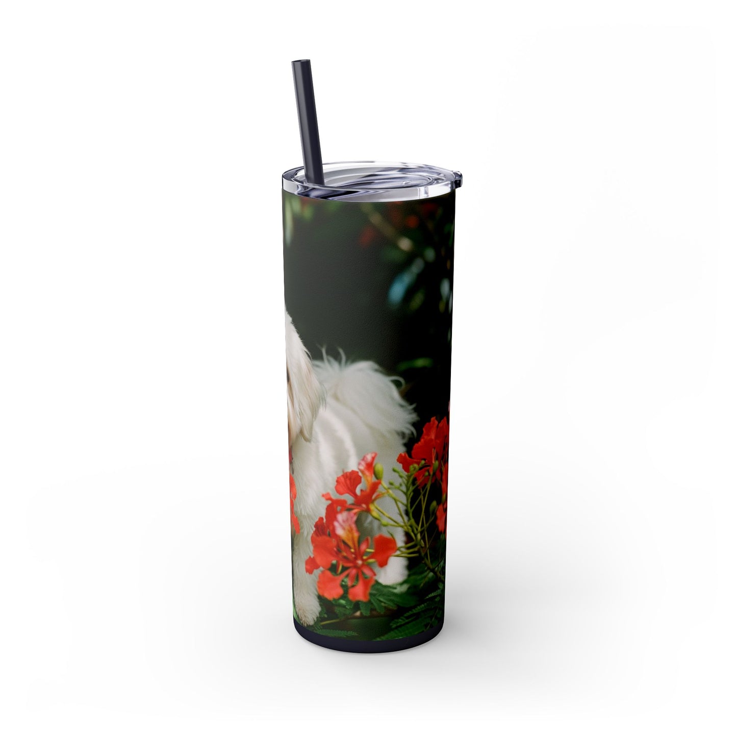 Gobelet Coton de Tuléar avec paille, 590 ml