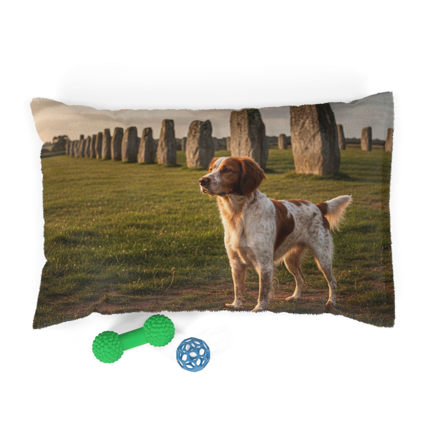 Brittany Spaniel Pet Bed
