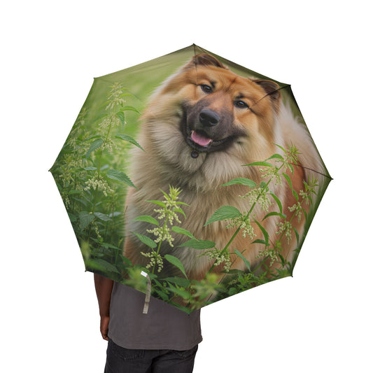 Eurasier Semi-Automatic Foldable Umbrella