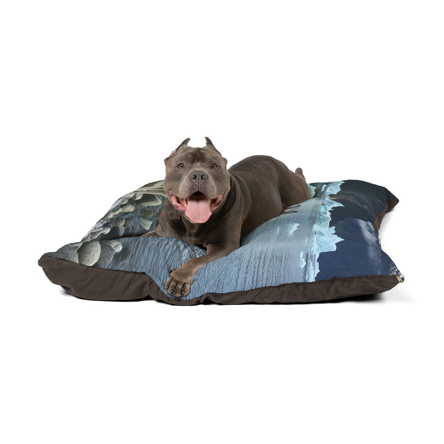 Alaskan Klee Kai Pet Bed