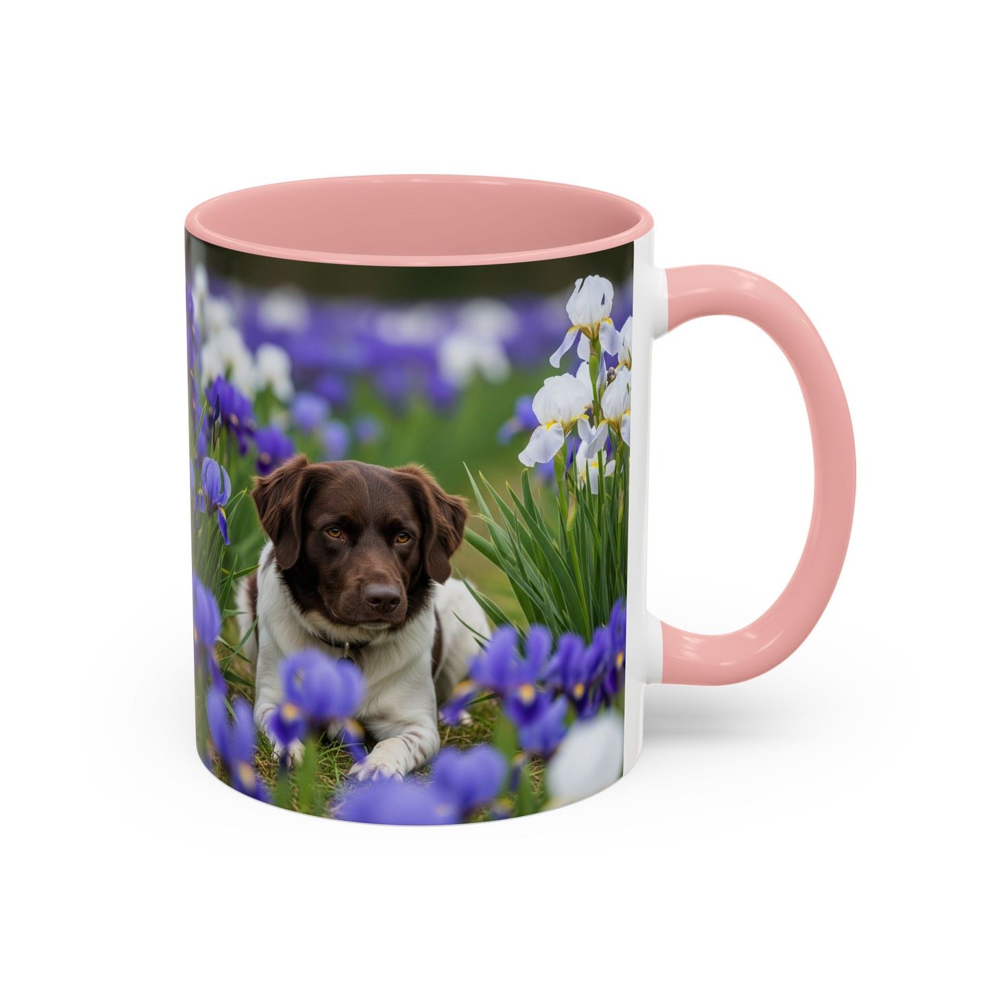 Mug Stabyhouns Accent - Cadeau idéal pour les amoureux des chiens