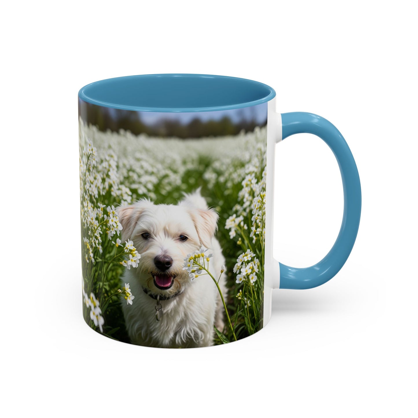 Taza de café con acento Kromfohrlander: el regalo perfecto para los amantes de los perros