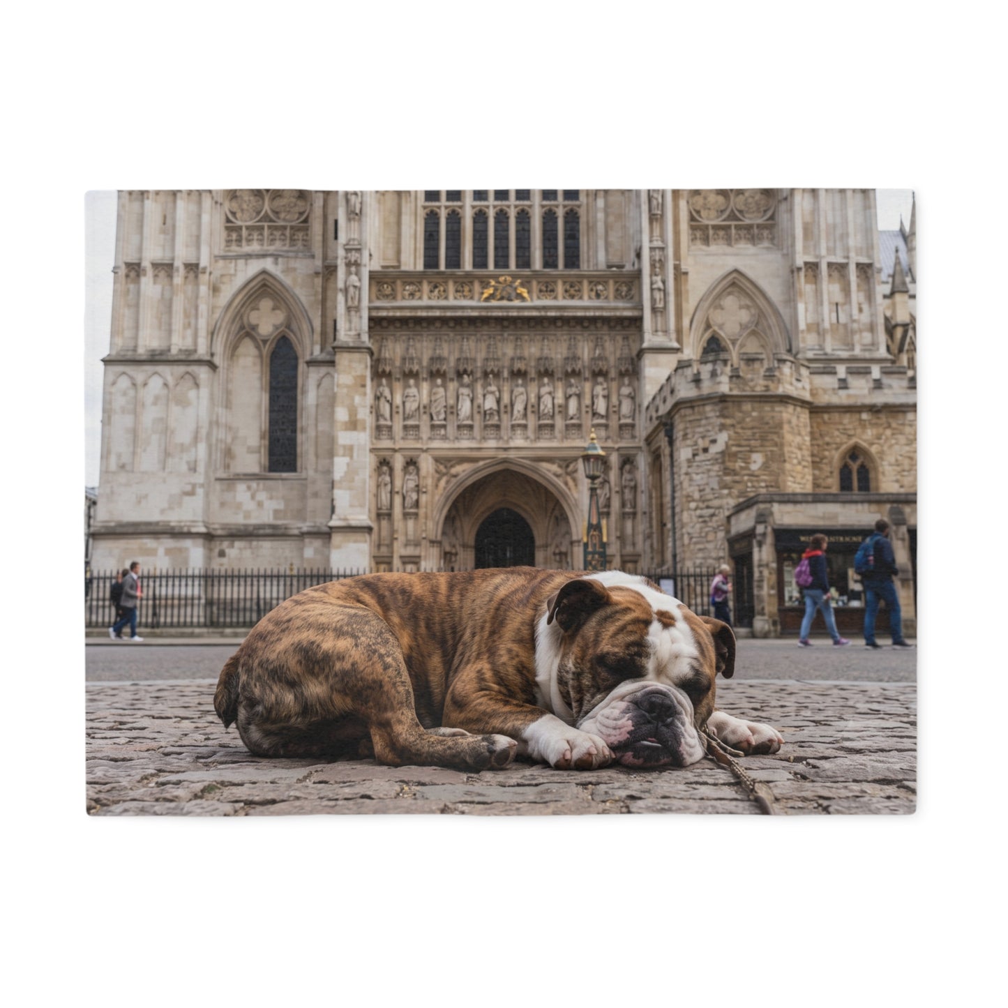 Old English Bulldog Blanket