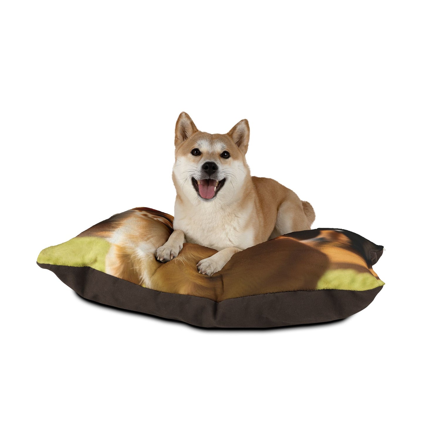 Toi Leo Pet Bed