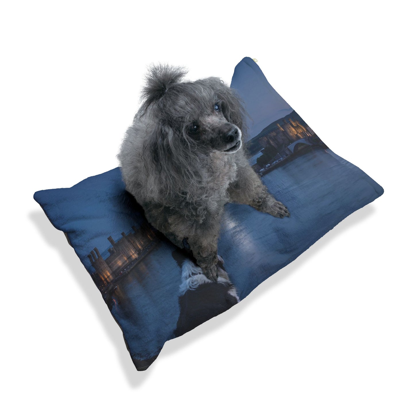 Welsh Sheepdog Pet Bed