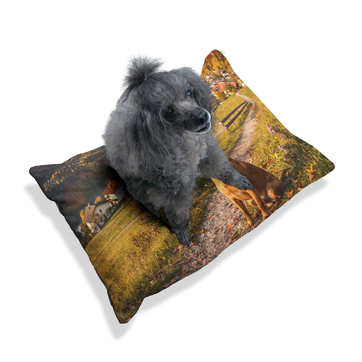 Austrian Pinscher Pet Bed