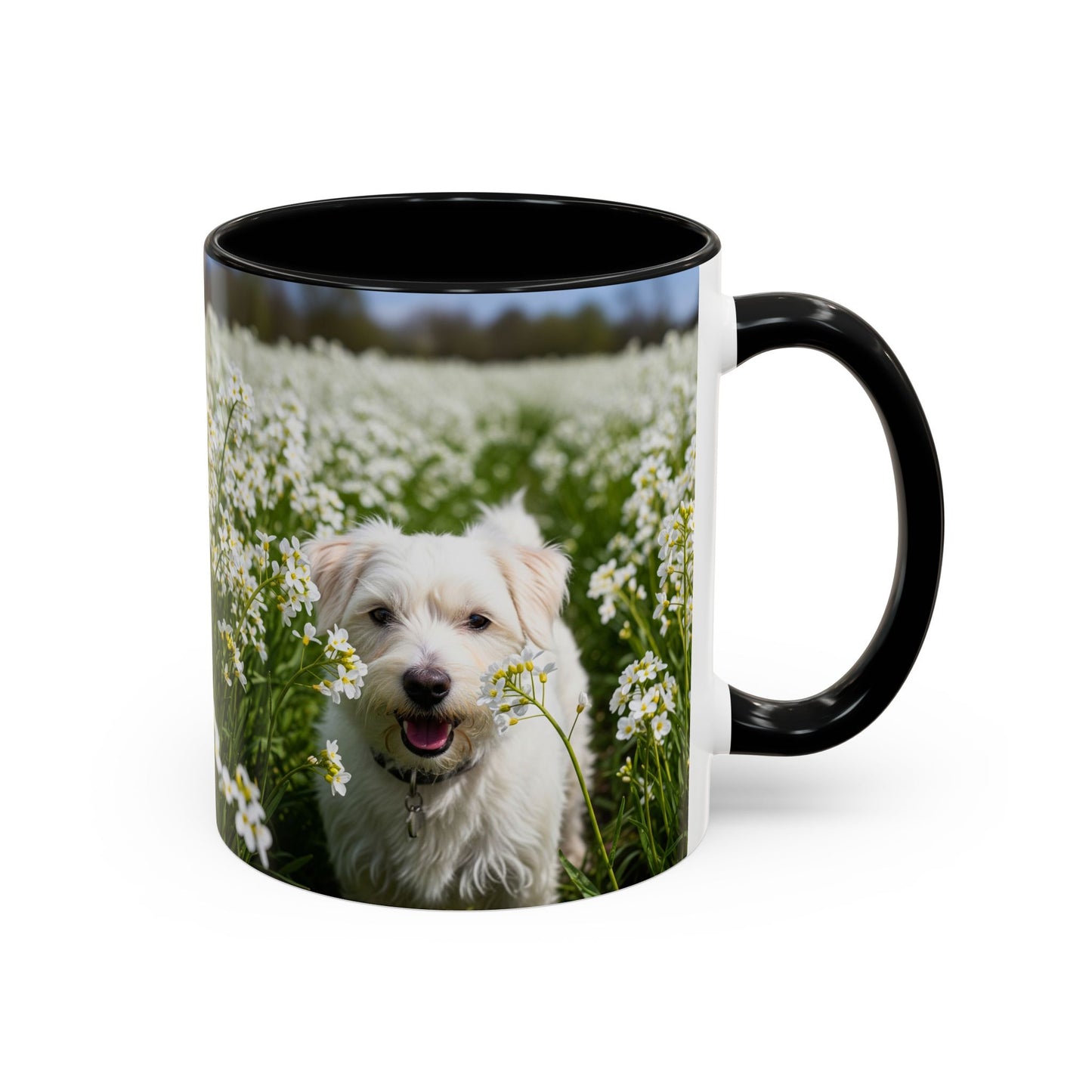 Taza de café con acento Kromfohrlander: el regalo perfecto para los amantes de los perros