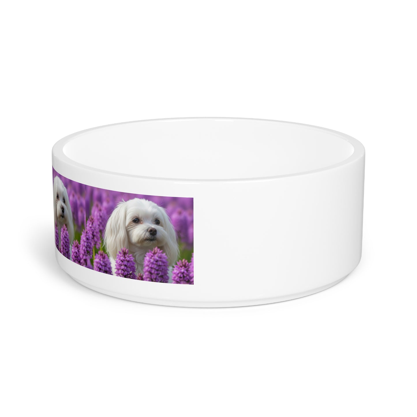 Gamelle pour chien maltais