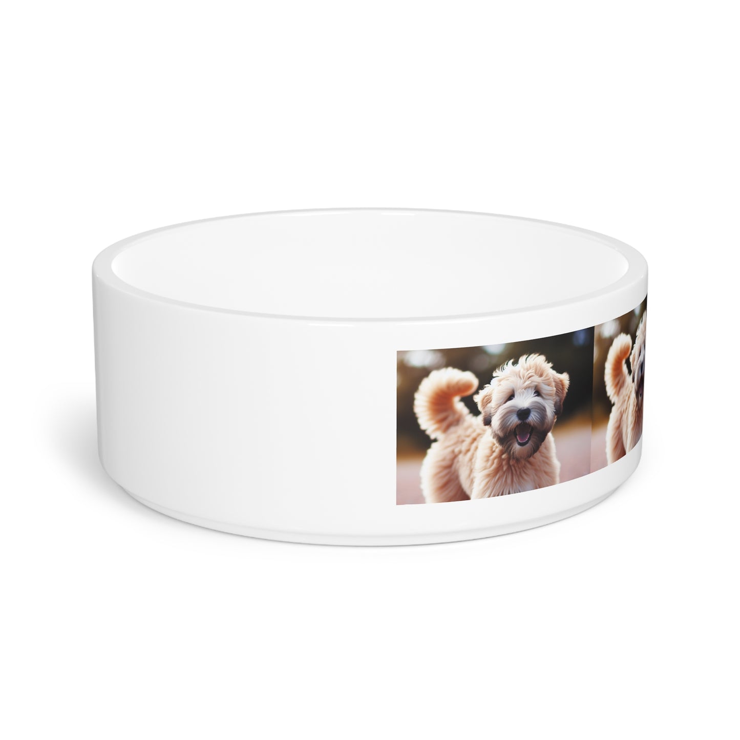 Soft Coated Wheaten Terrier Pet Bowl