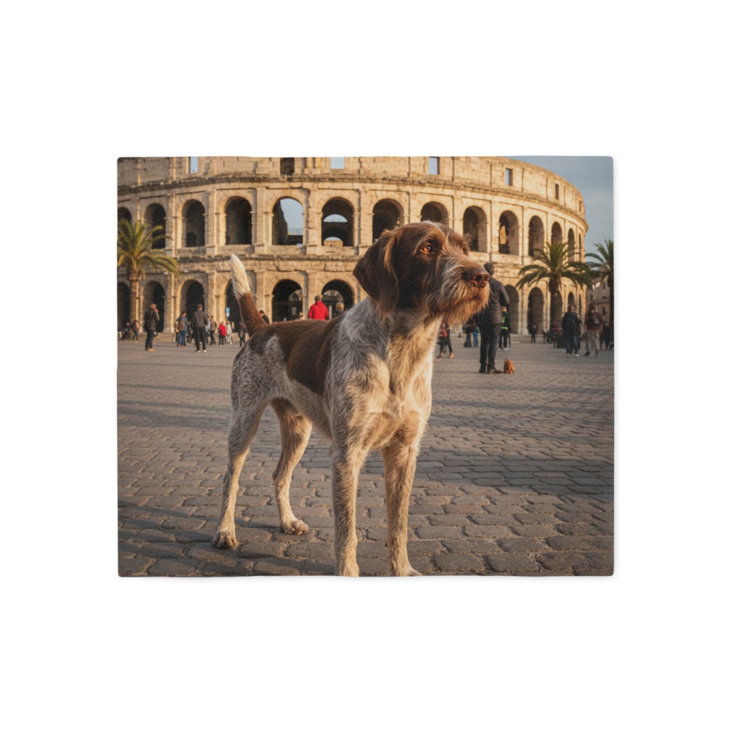Wirehaired Pointing Griffon Blanket
