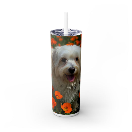 Havanese Tumbler with Straw, 20oz