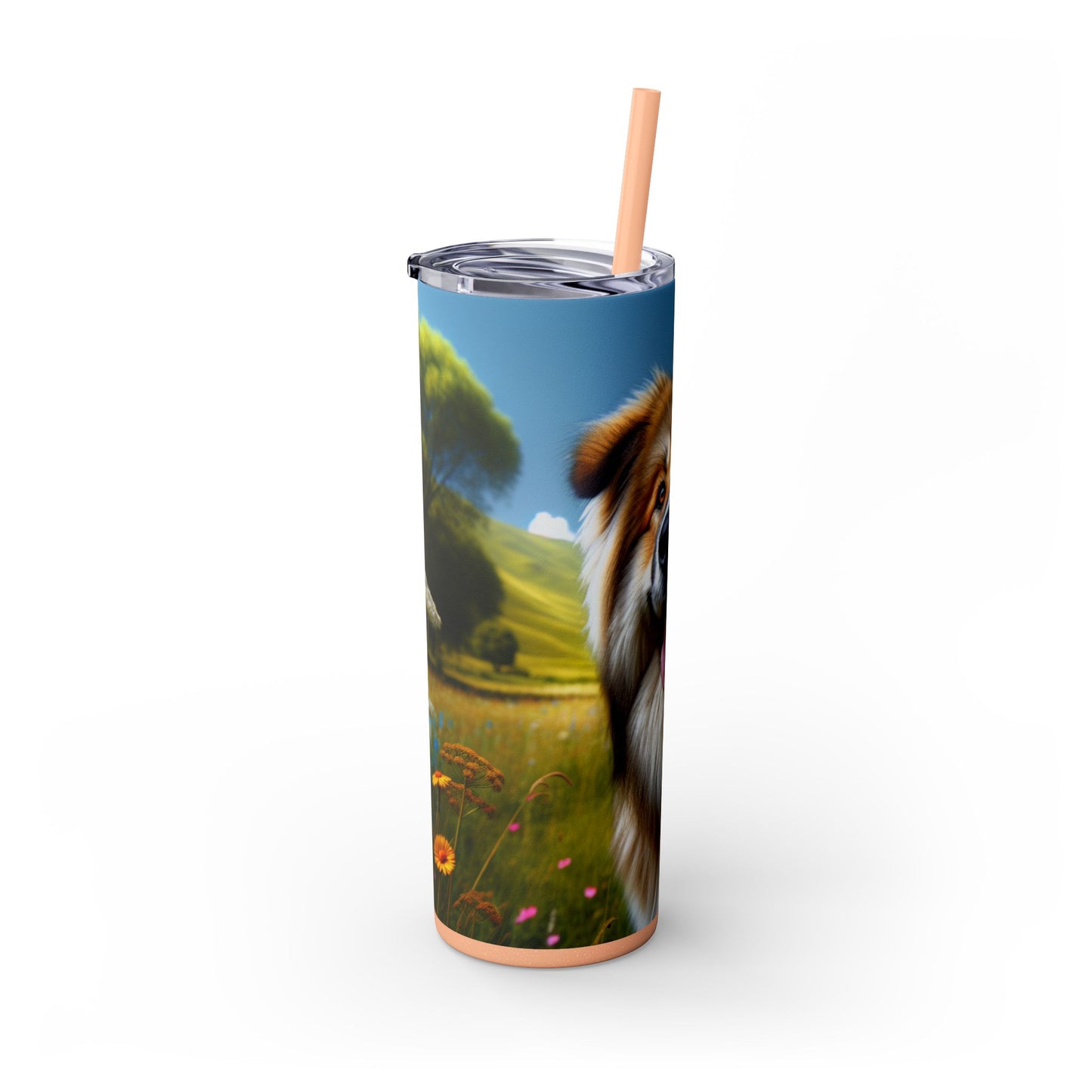 Bakharwal Tumbler with Straw, 20oz
