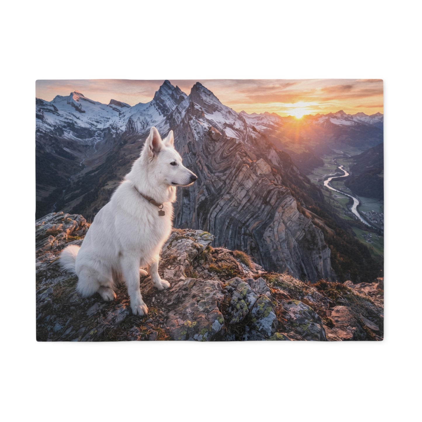 White Swiss Shepherd Dog Blanket