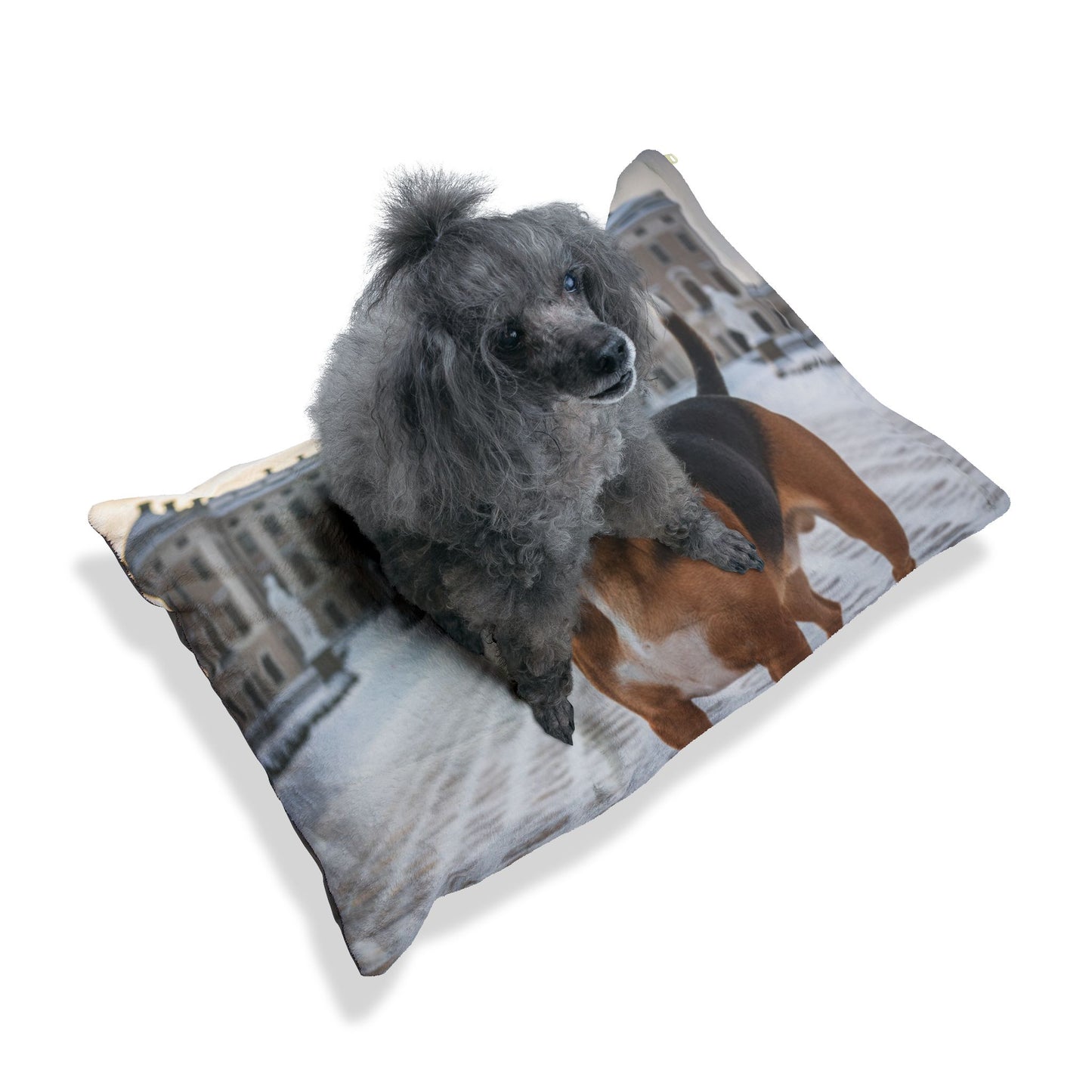 Drever Pet Bed