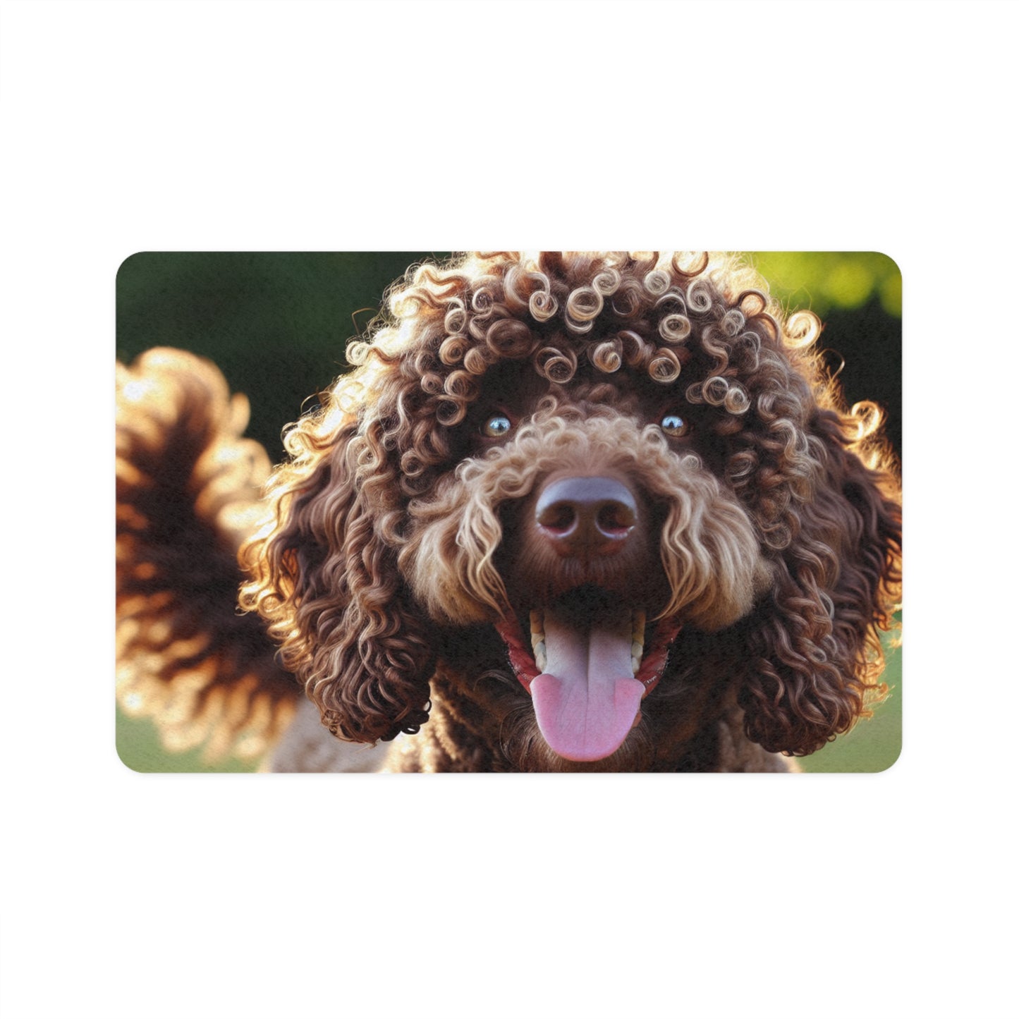 Pet Food Mat (12x18) - Curly Coated Retriever