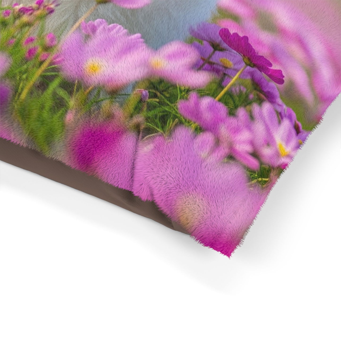 Lit pour Shih Tzu