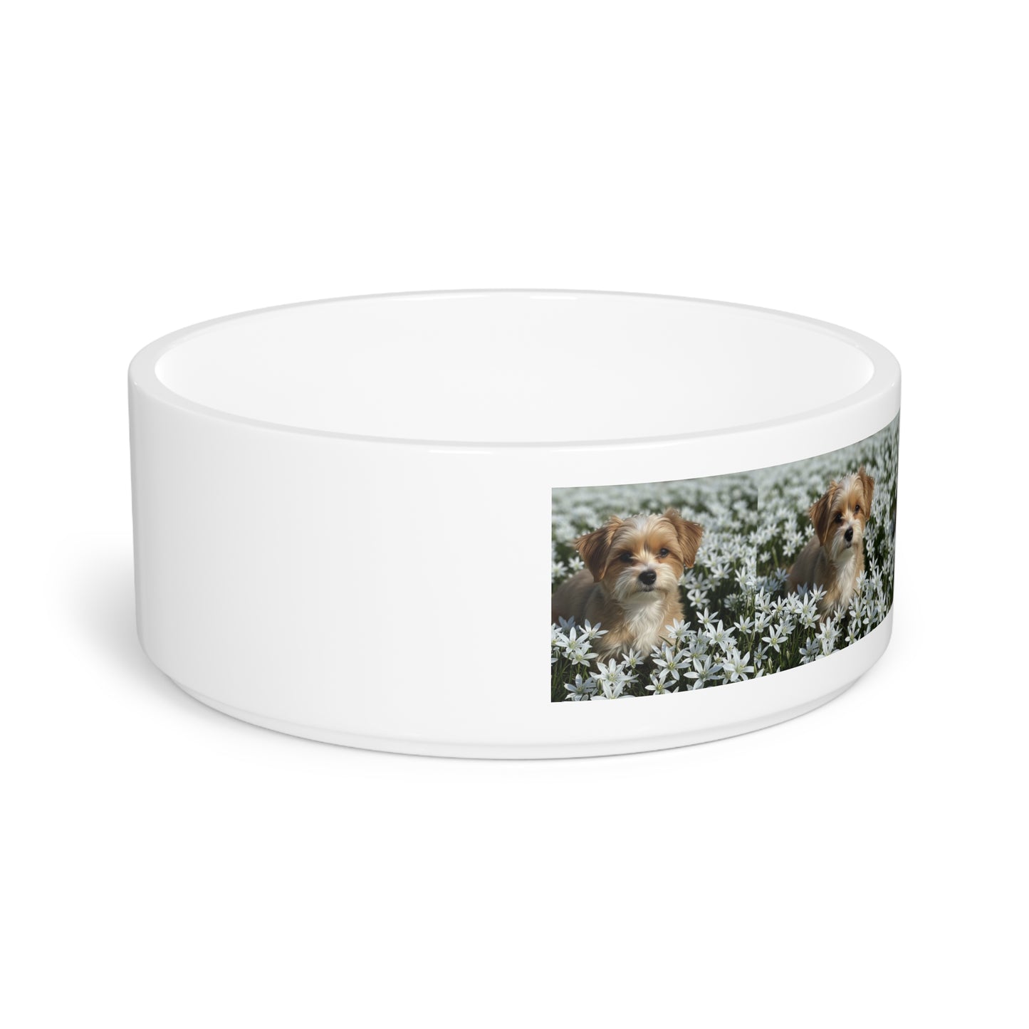 Ceramic Pet Bowl – 16 oz Dog Feeding Bowl