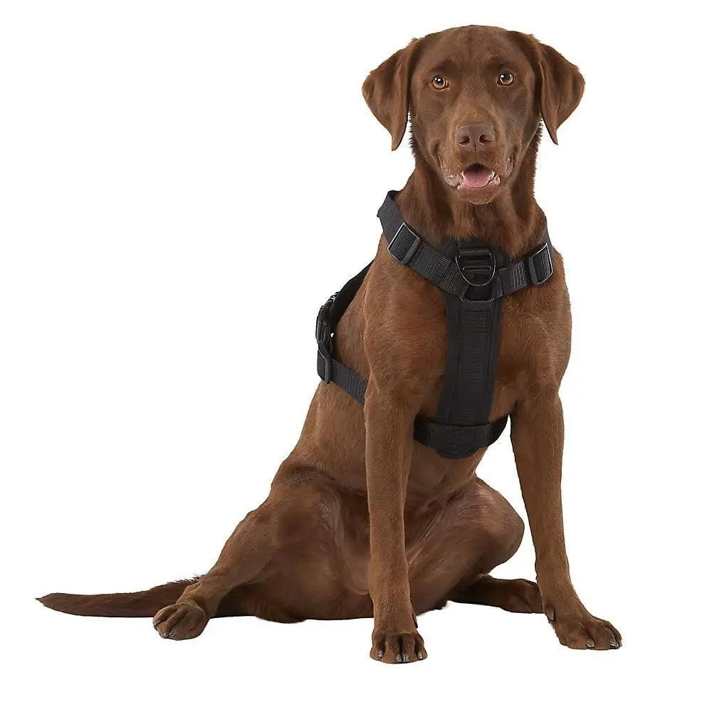 Harnais Kong pour grand chien noir avec distributeur de sacs à déjections et poignée de contrôle