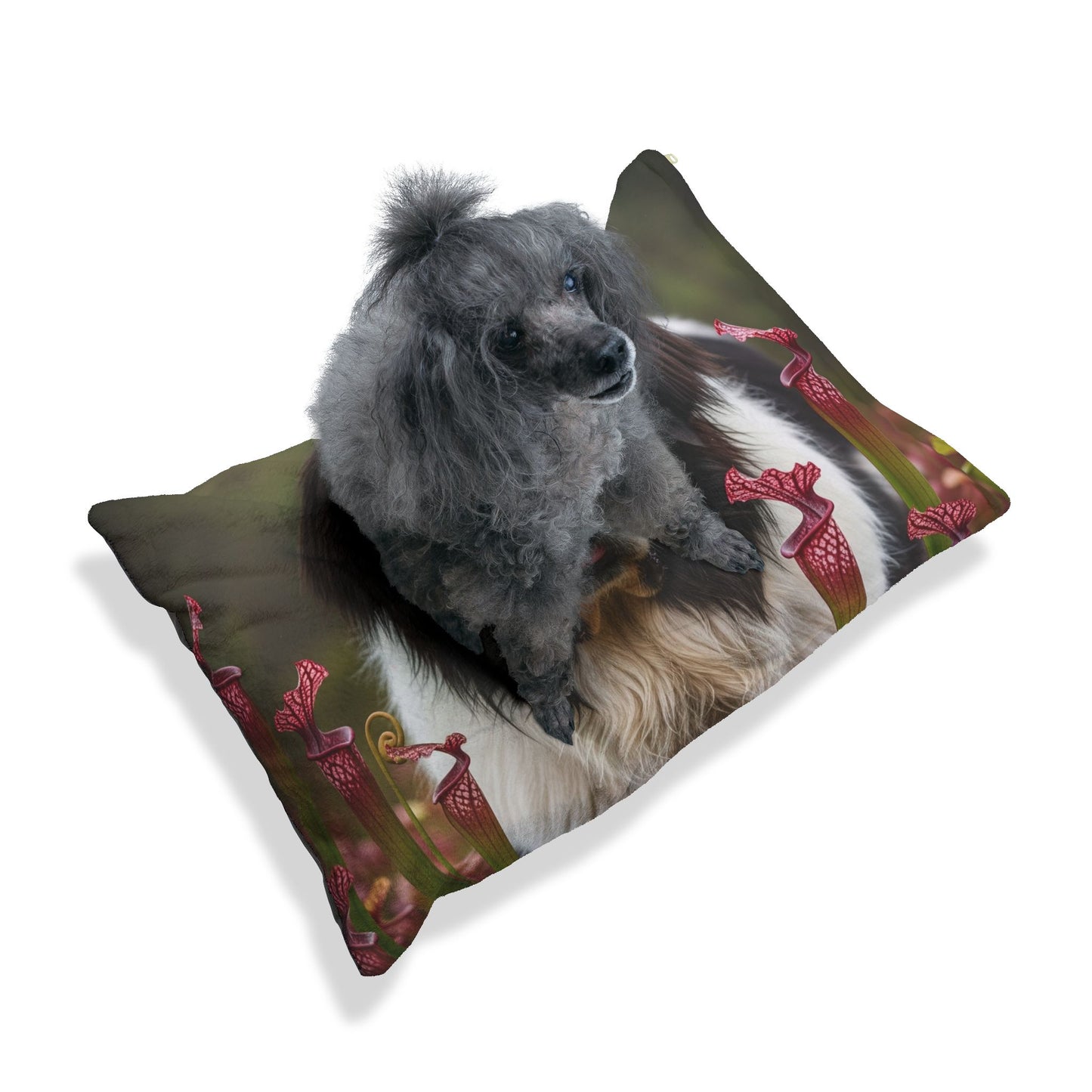 Landseer Pet Bed