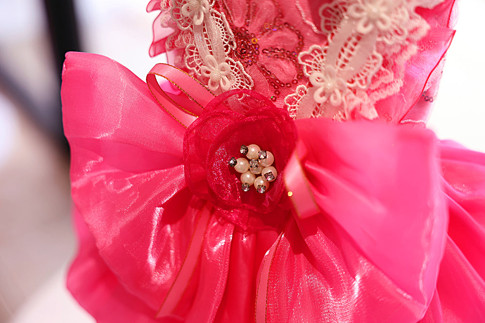 Elegant Hot Pink Lace Dog Party Dress
