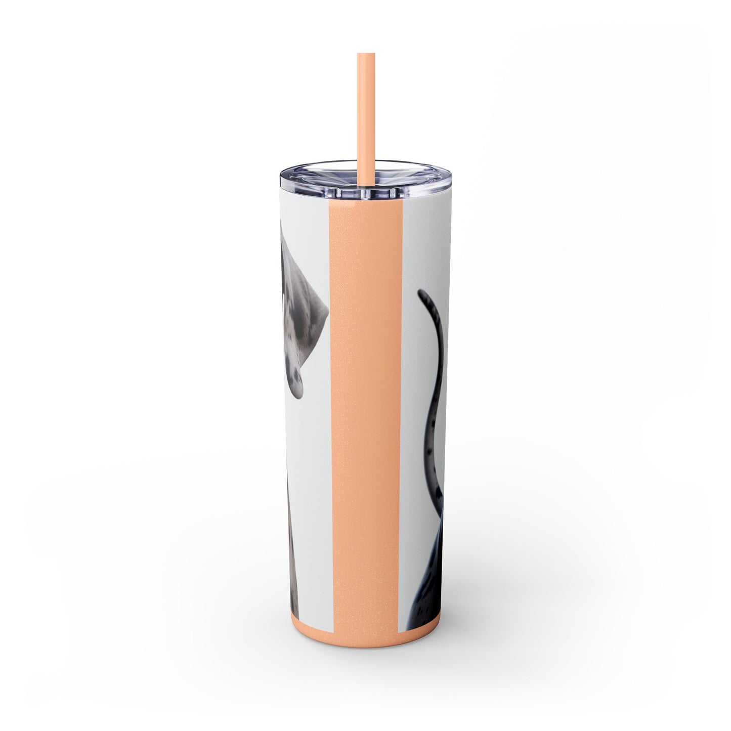 Great Dane Tumbler with Straw, 20oz